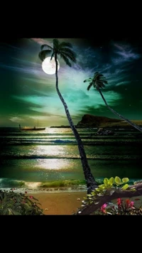 beautiful nite, under the moon wallpaper