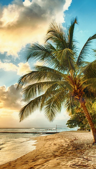 Sérénité du coucher de soleil sur une plage brésilienne