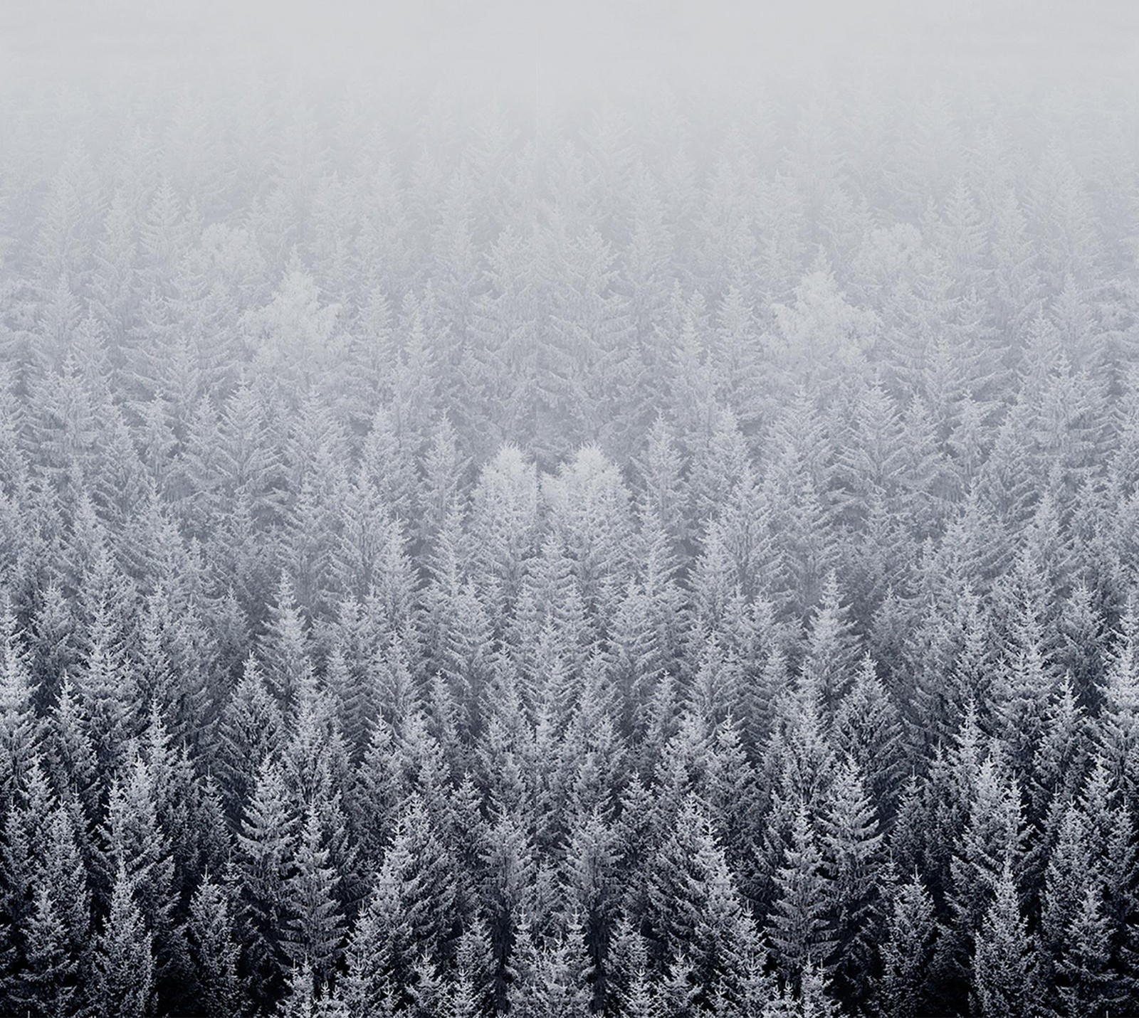 Lade ios, iphone, iphone 6, mac, schnee Hintergrund herunter