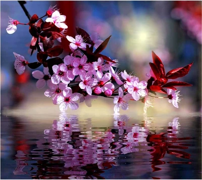 Simplemente hermosas flores reflejadas en el agua