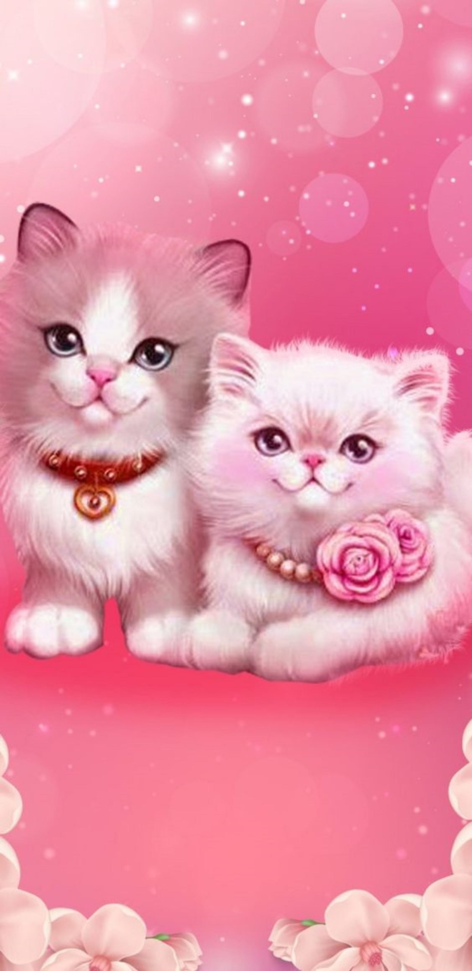 cats, cute wallpaper