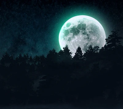 black, dark, forest, moon, night