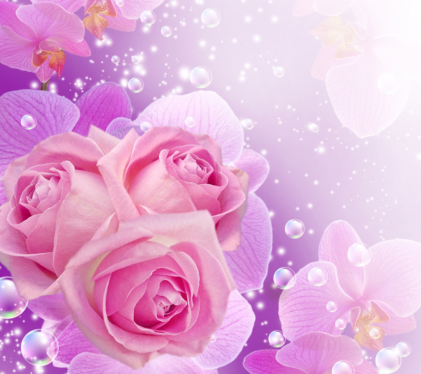 Purple roses and orchids with bubbles and sparkles on a purple background (floral, flowers)