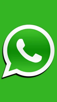 dp, bandera, foto verde, whatsapp