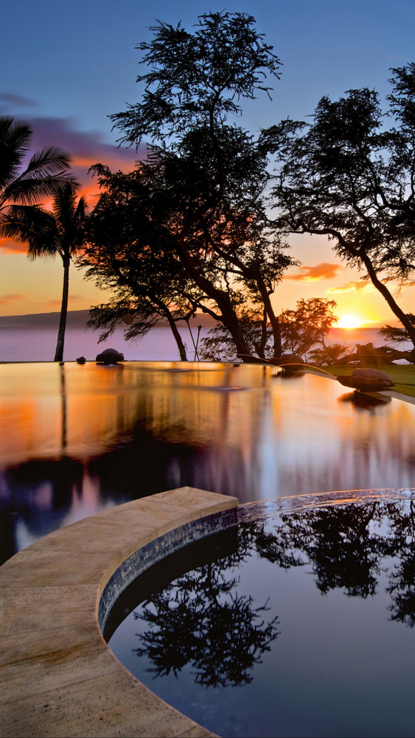 As árvores estão refletidas na água de uma piscina ao pôr do sol (paisagem, sol)