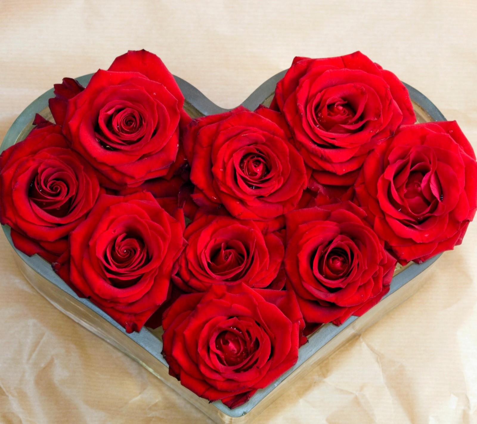 Hay una caja en forma de corazón con rosas rojas dentro (corazón, amor, rojo, rosas)