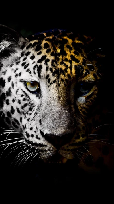 Impresionante primer plano de la intensa mirada de un leopardo