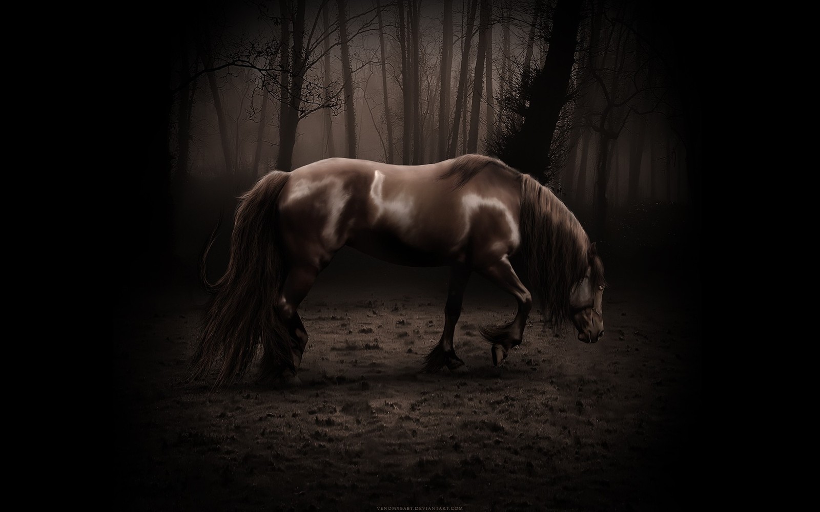 There is a horse that is eating grass in the woods (arabian horse, horse, mane, stallion, mustang horse)