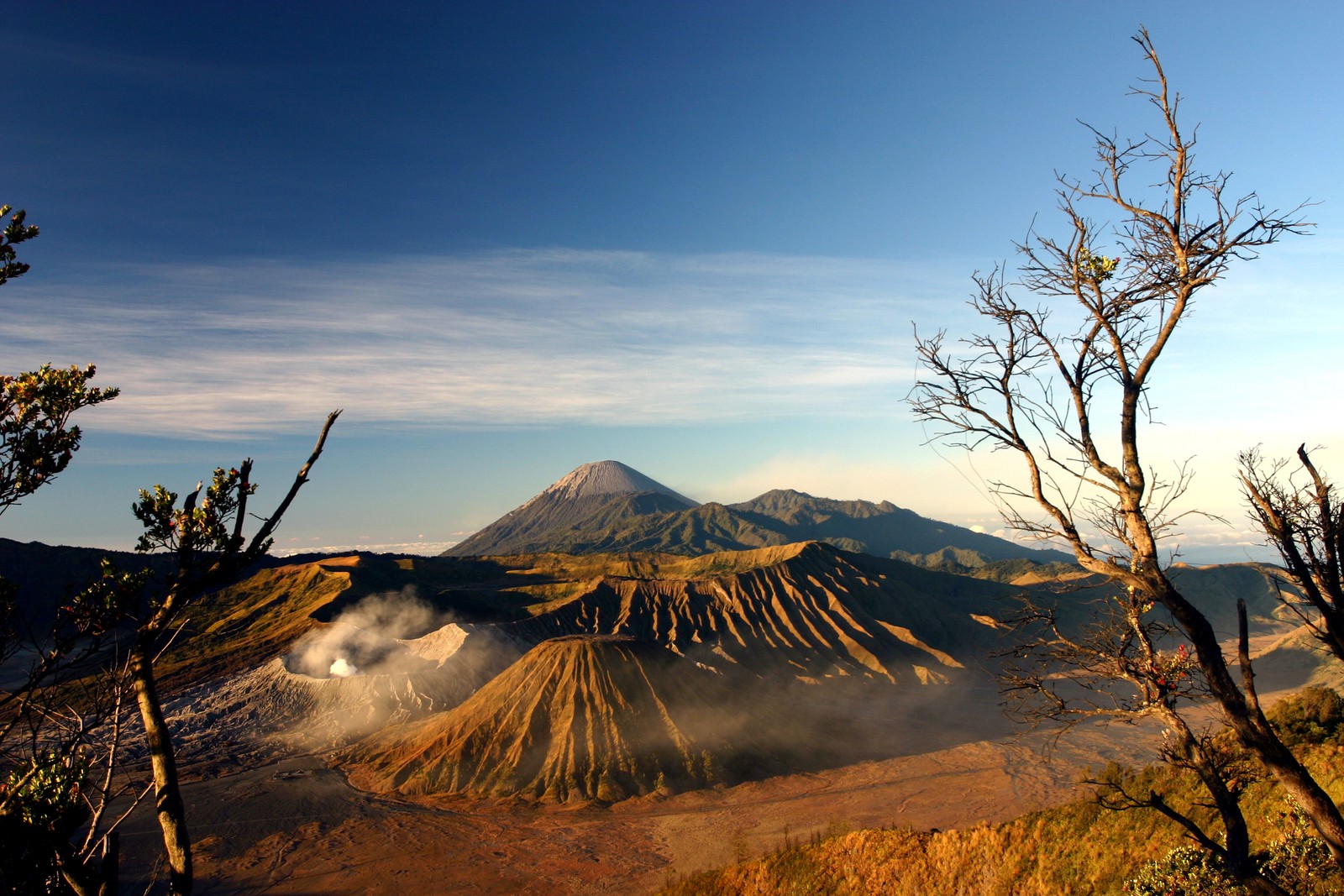 Vue d'une montagne avec quelques arbres et quelques nuages (mont bromo, mount bromo, volcan, montagne, nature)