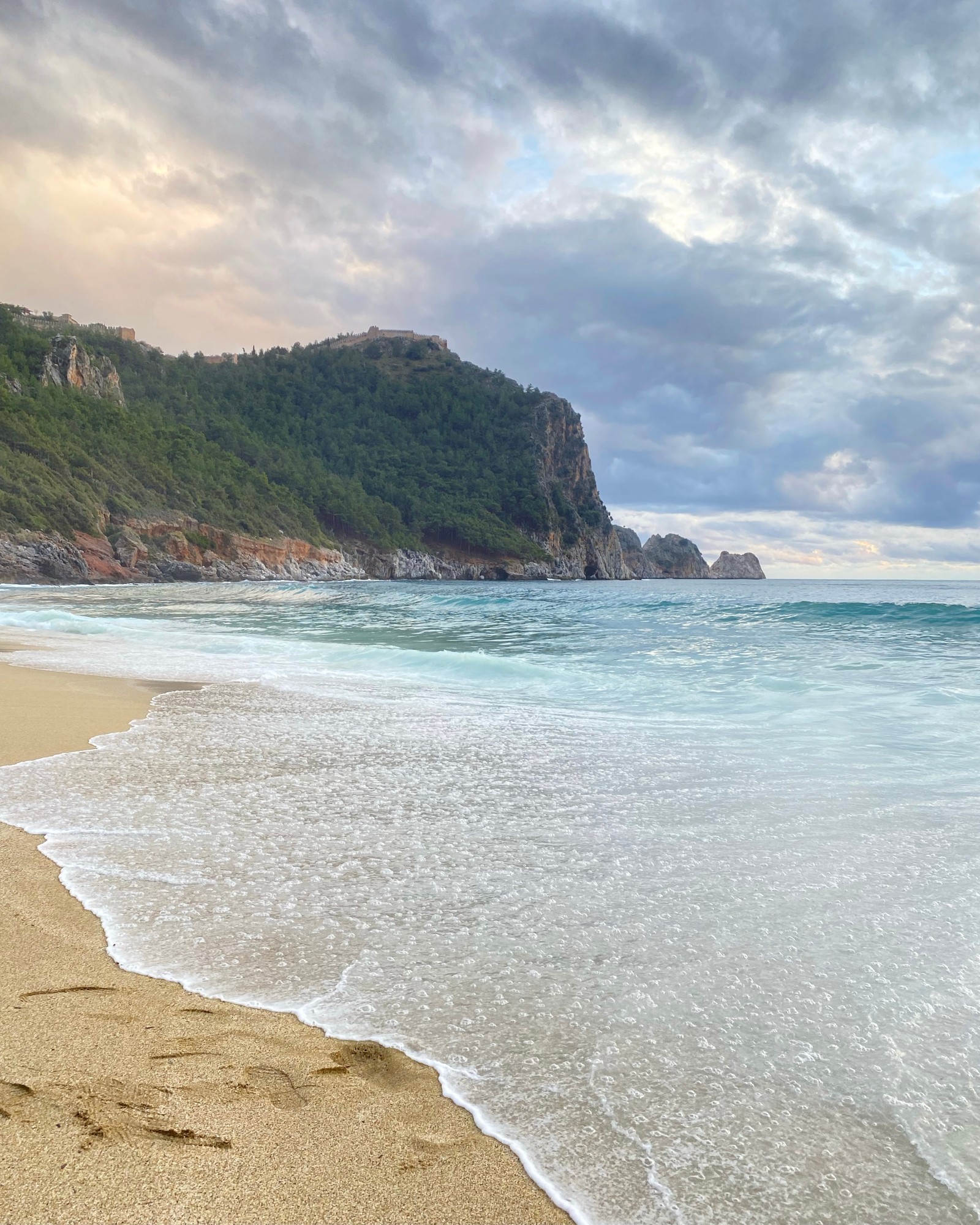 There is a lone surfboard on the beach near the water (water, cloud, beach, natural landscape, tree)