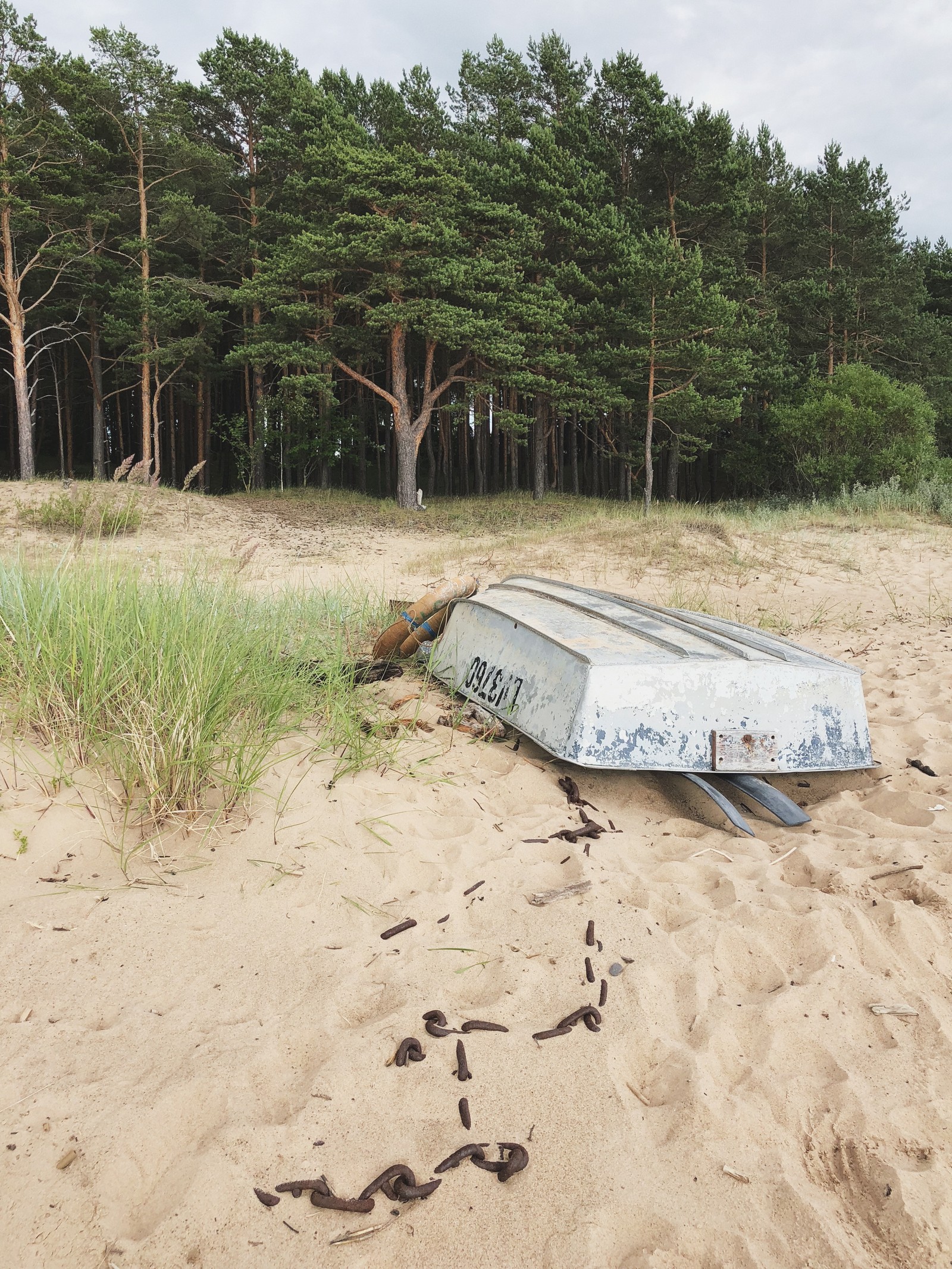 There is a boat that is sitting on the sand in the sand (sand, water, plant community, biology, science)