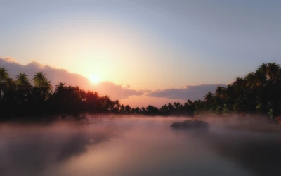 Tropischer Sonnenaufgang über nebligen Gewässern mit Palmen