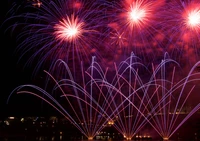 Vibrant New Year Fireworks Illuminating the Midnight Sky