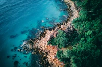 Vue aérienne d'une côte rocheuse bordée d'arbres verts luxuriants et d'une eau océanique bleue vibrante, présentant un paysage naturel époustouflant.