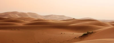 Vastes dunes désertiques sous un ciel doux