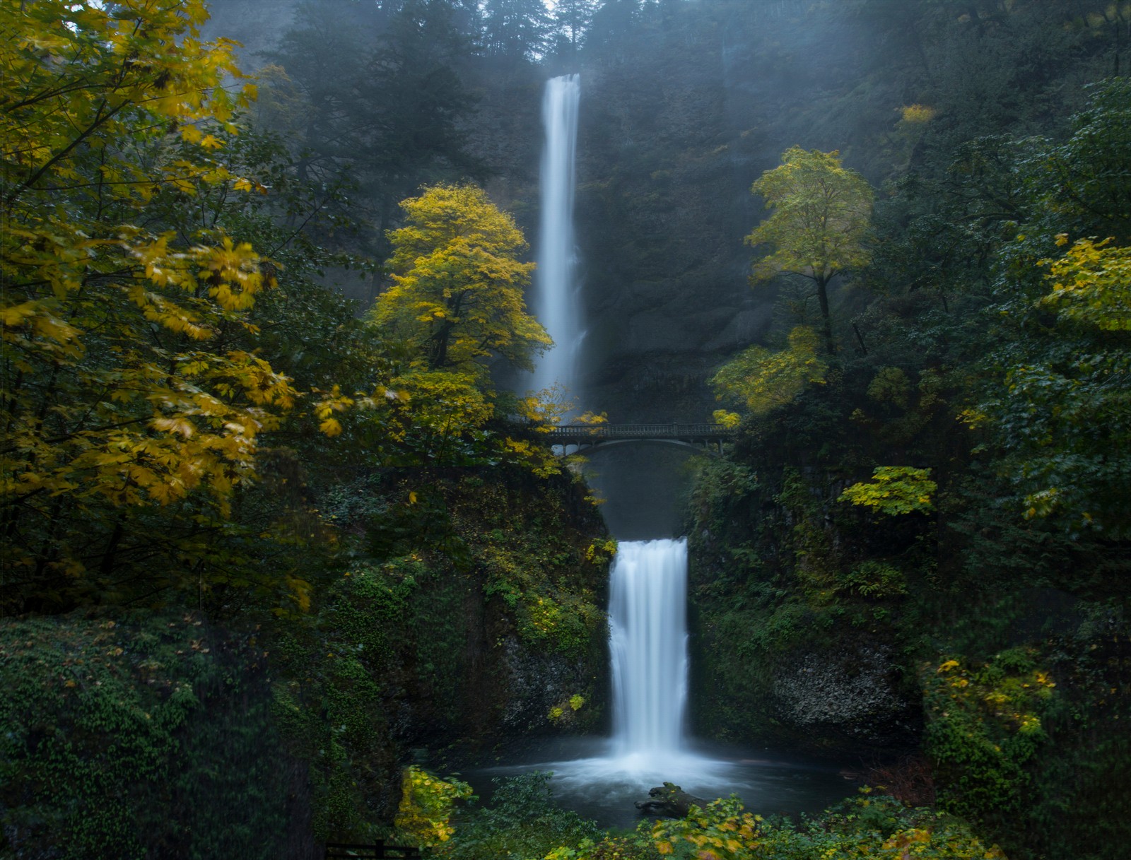 A view of a waterfall in the middle of a forest (multnomah falls, oregon, forest, waterfalls, green moss)