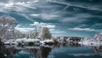 Serene Winterlandschaft mit frostreichen Bäumen und reflektierenden Gewässern