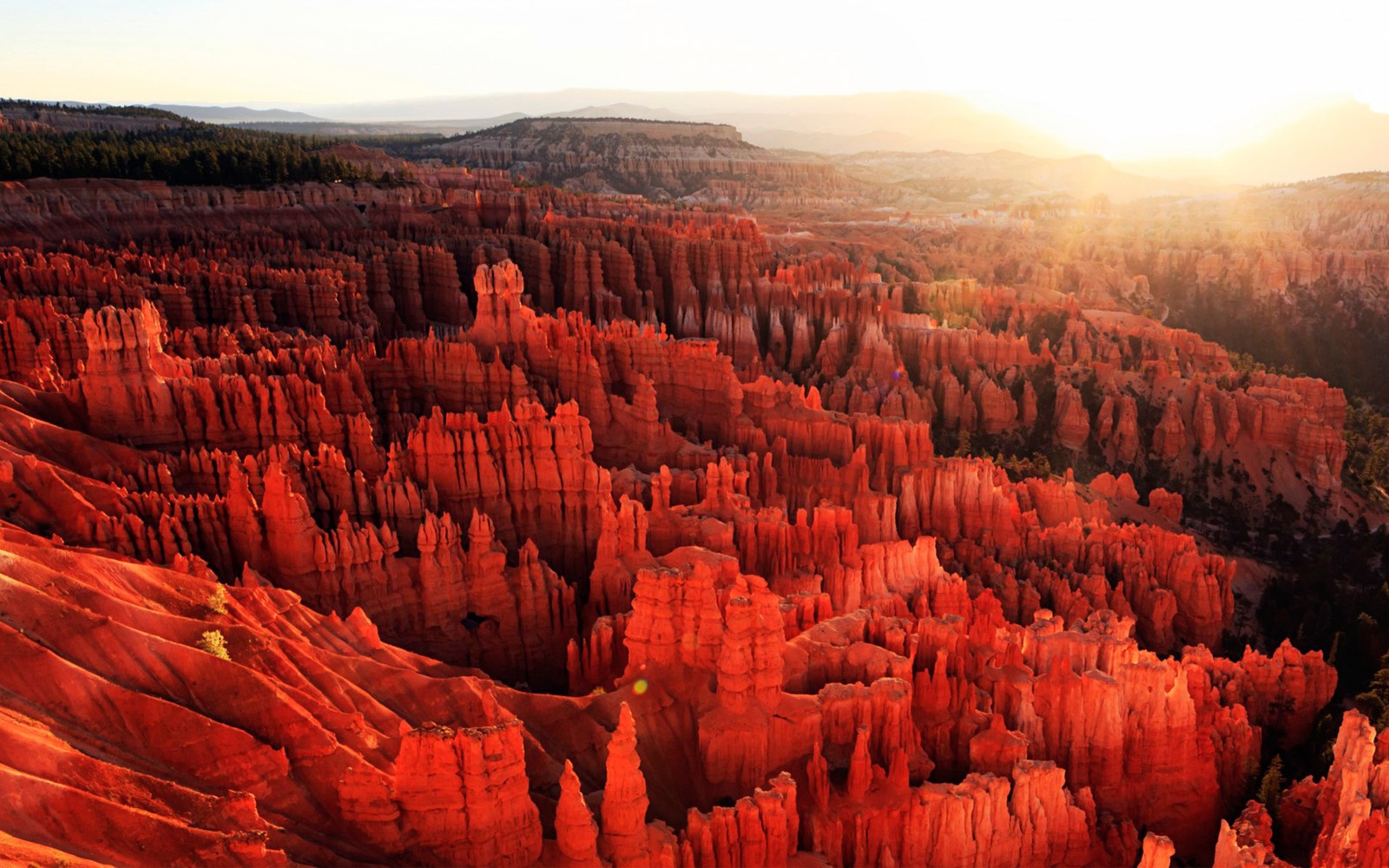 Vue du soleil briller à travers les canyons de bryce canyon (parc national de bryce canyon, bryce canyon city, parc national, parc, parc national de crater lake)