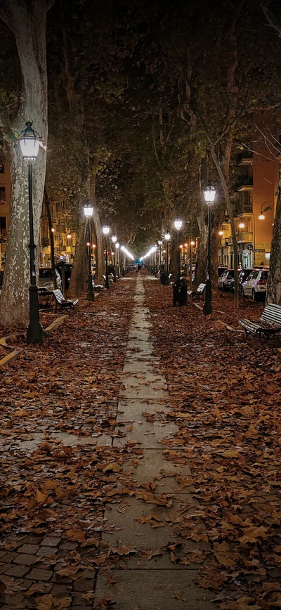 Autumn Alley Illuminated by Street Lights