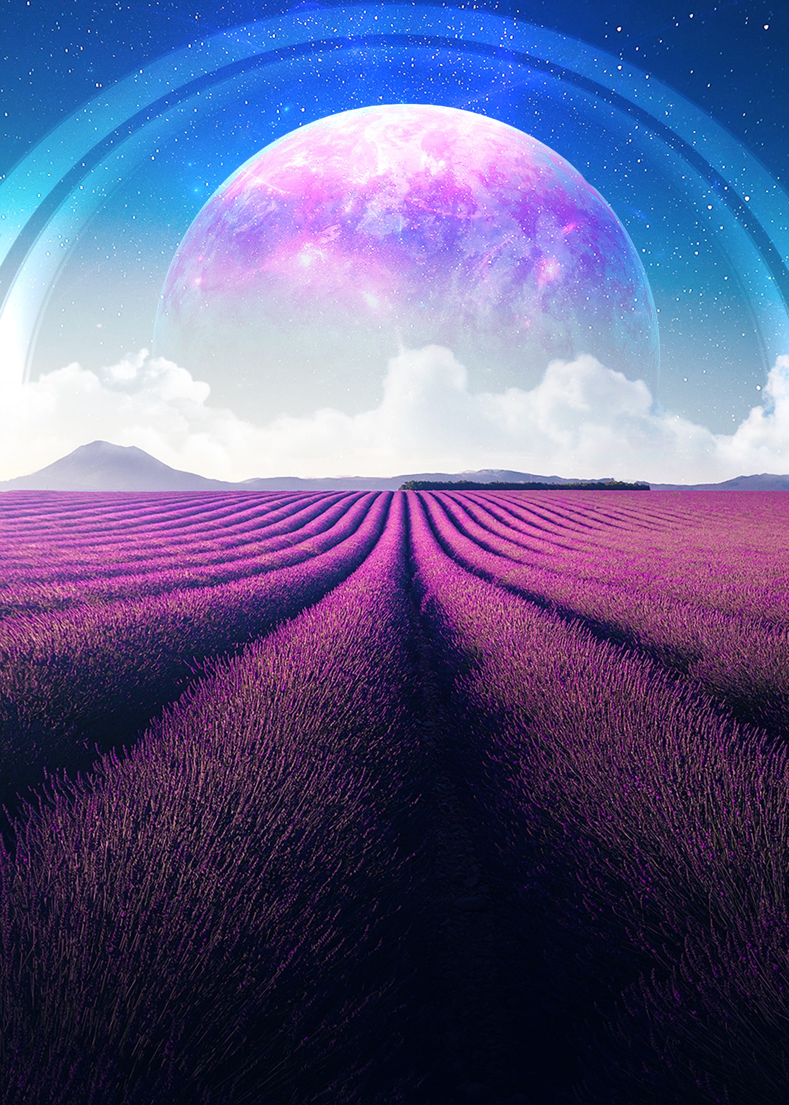 Purple field with a full moon and a purple sky (lavender fields, lavender farm, landscape, planet, surreal)