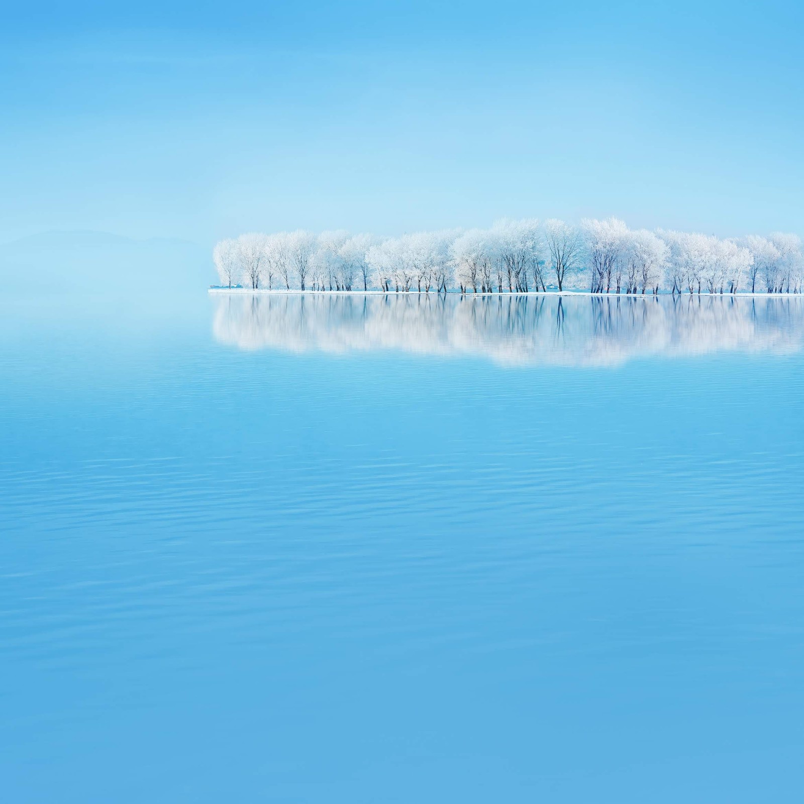 Une petite île avec des arbres au milieu de l'eau (huawei, huawei p30, smartphone, android, huawei mate 20)