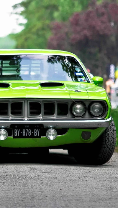 car, classic, green, road, speed