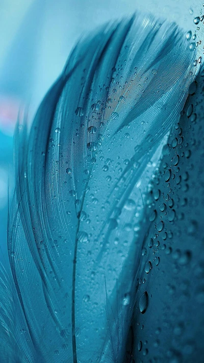 Pluma azul húmeda con gotas de agua en macro