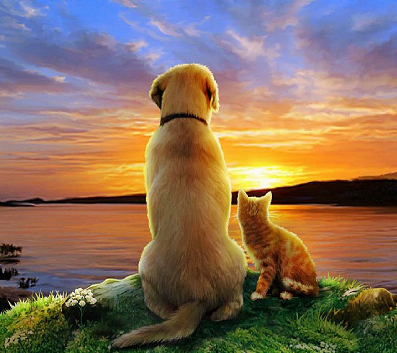 Peinture d'un chien et d'un chat assis sur une roche regardant le coucher de soleil (amis)