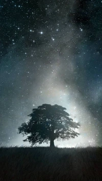 abstract, alone, tree wallpaper