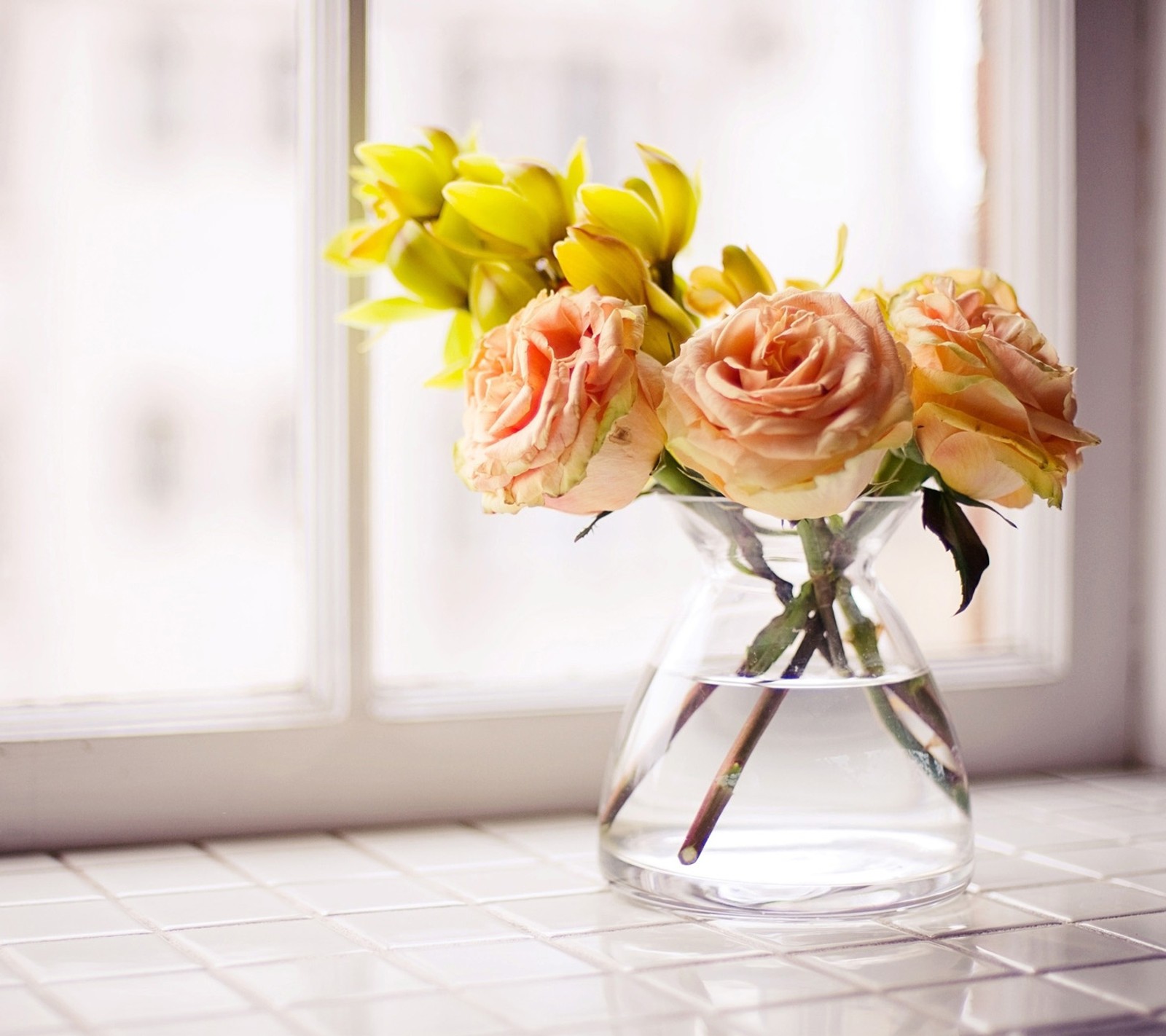 Há um vaso com flores na janela (bonito, flor, rosa)