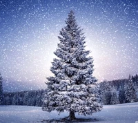 Snow-covered Christmas tree in a serene winter landscape.