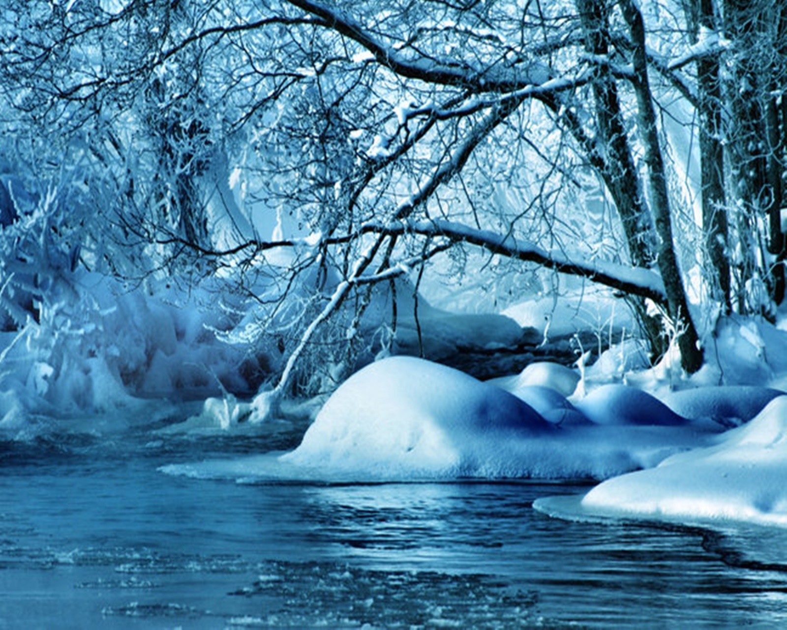 Des arbres enneigés et des rochers couverts de glace bordent une rivière dans une forêt (bleu, forêt, flueve, neige, arbres)