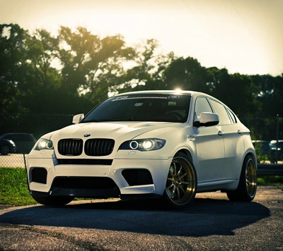 bmw, m power, blanco, x6 m