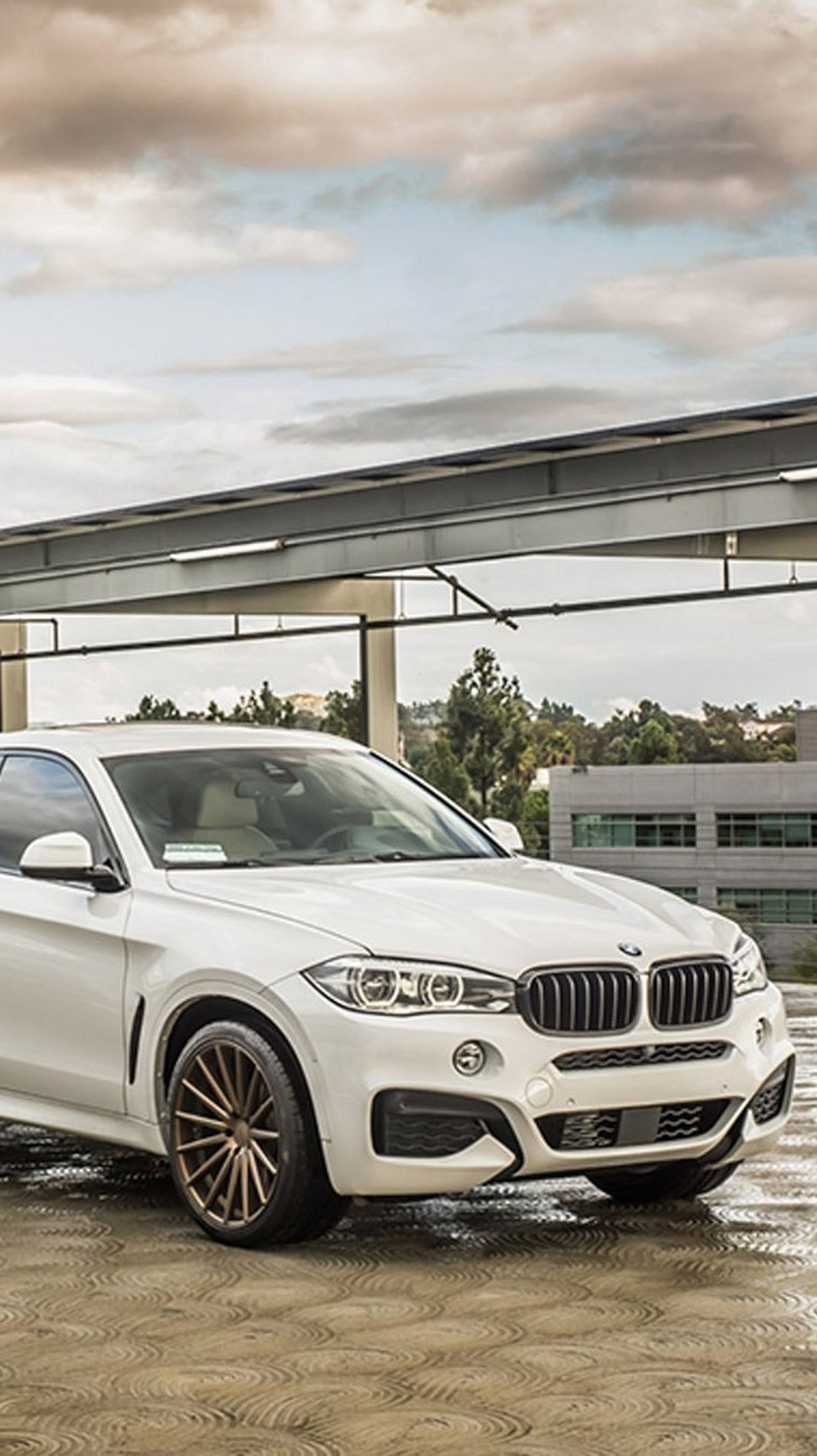 Bmw x6 m50i con paquete m - sport (2015, bmw, coche, nuevo)