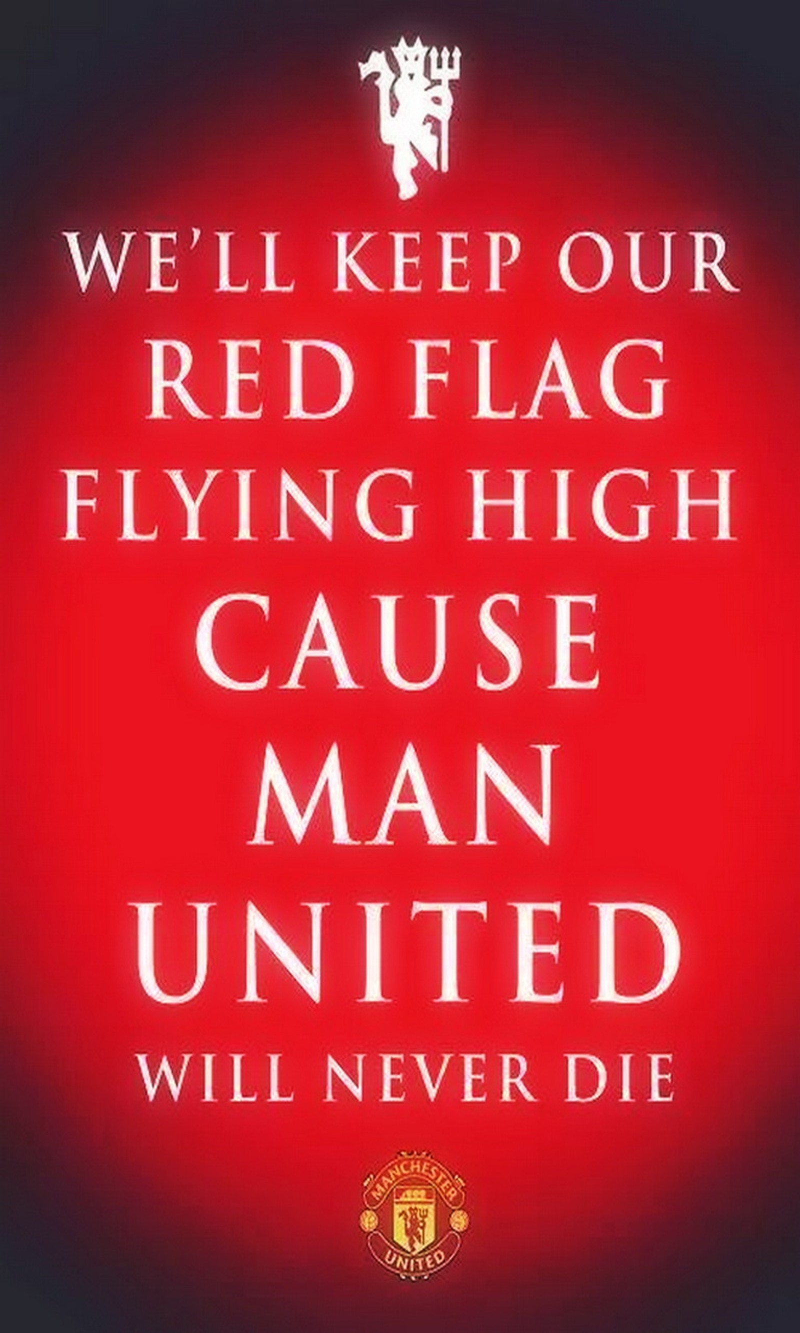 die, flag, flying, high, man utd Download Wallpaper