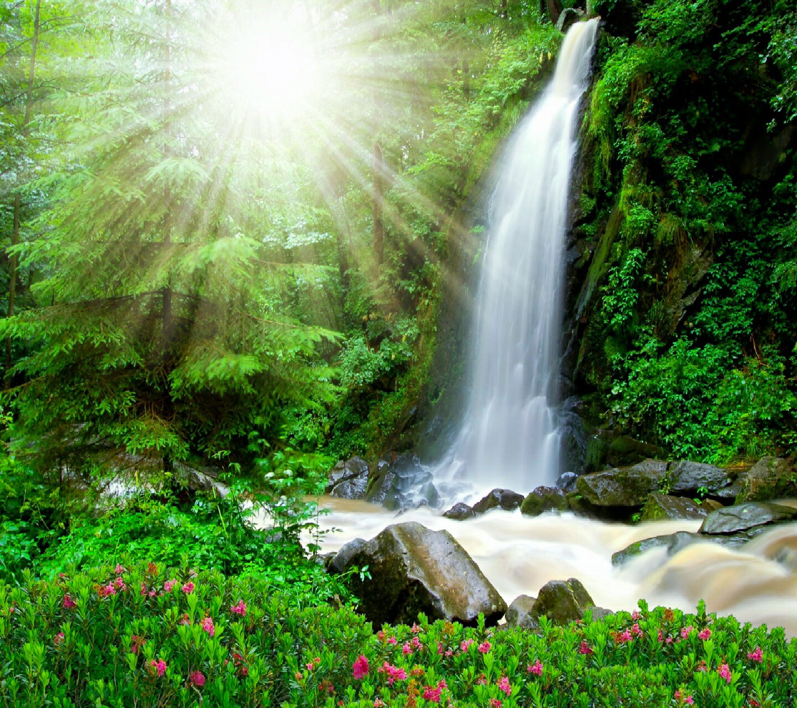 Uma grande cachoeira no meio de uma floresta verde exuberante (flores, natureza, legal, papéis de parede, cachoeiras)