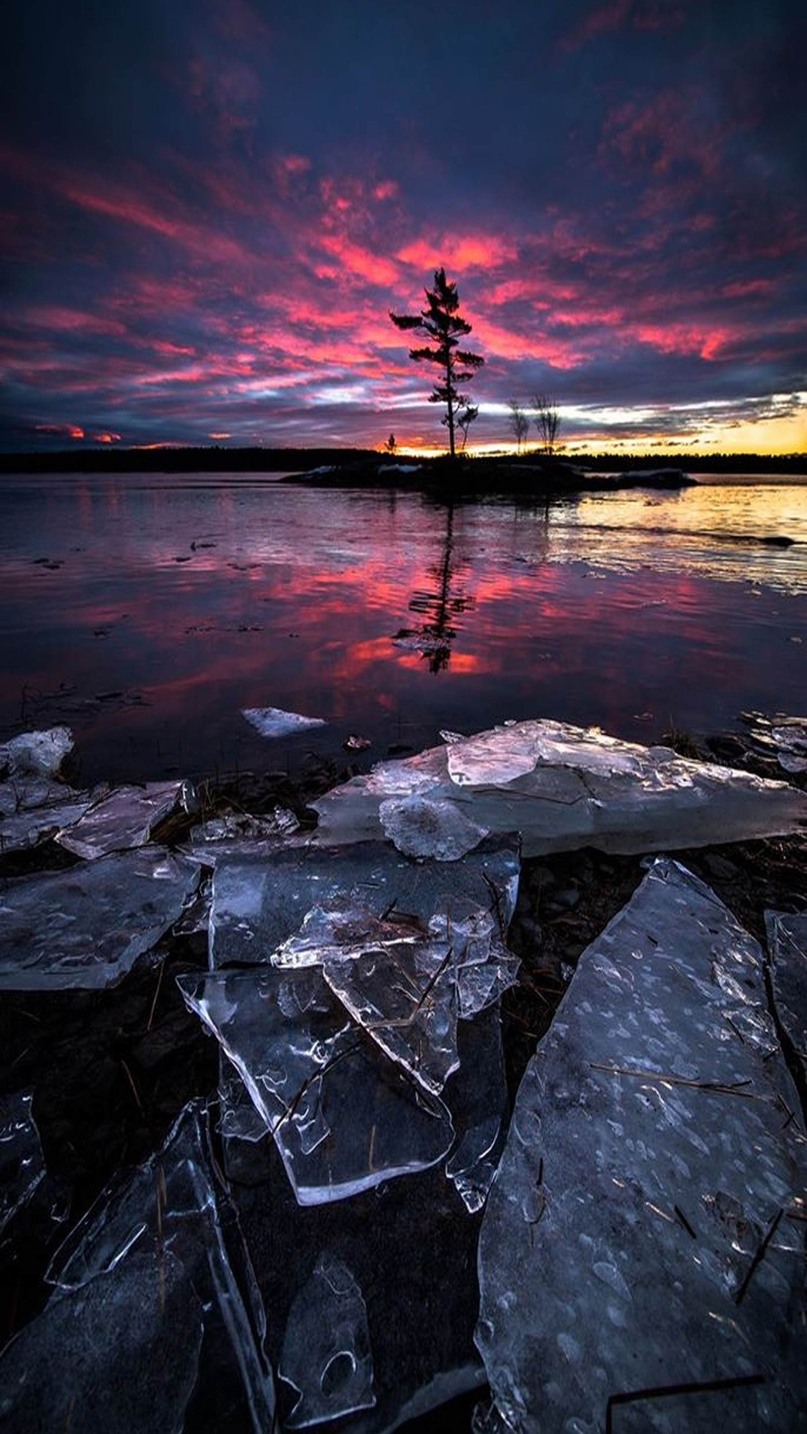 Arafed tree sitting on top of a pile of ice next to a lake (beautiful, ice, lake, red, sky)