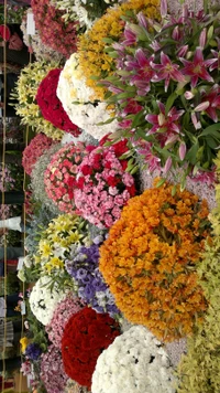 Exhibición floral vibrante con una variedad de flores coloridas