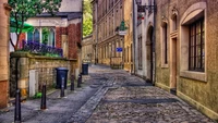 Charming Cobblestone Alleyway in a Residential Neighborhood