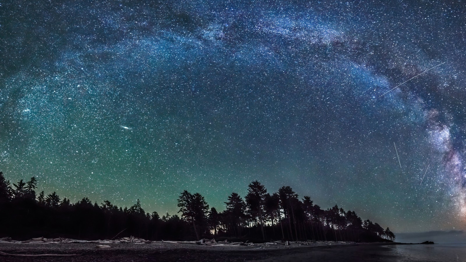 A night sky with a lot of stars and a lot of trees (beach, night, sky, stars, scenery)