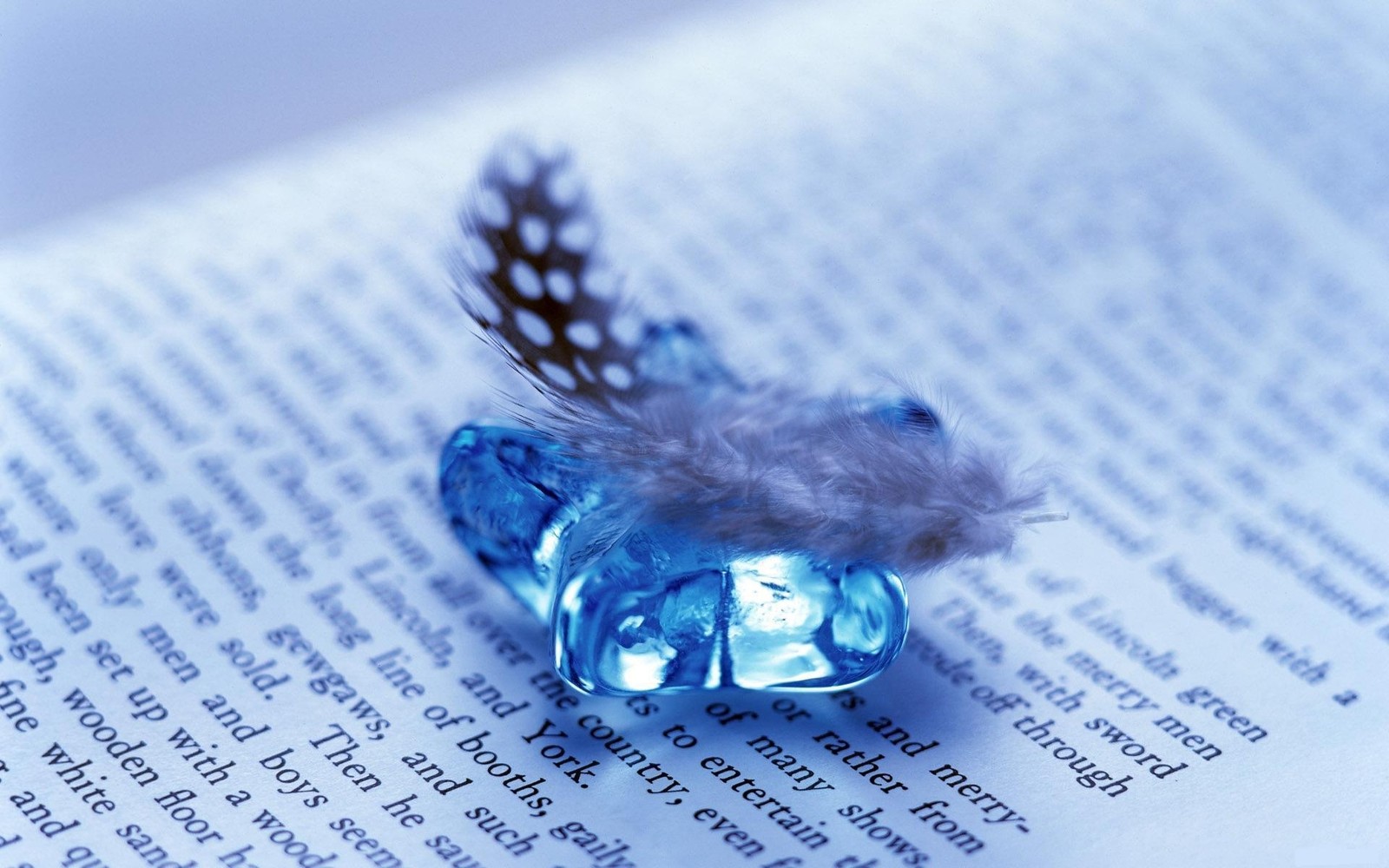 There is a blue glass bird with a feather on top of a book (blue, cobalt blue, crystal, macro photography, font)