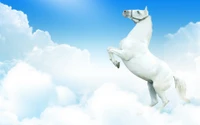 Majestuoso caballo árabe blanco relinchando entre nubes esponjosas