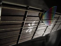 Close-Up of Guitar Neck and Colorful Pick on Fretboard