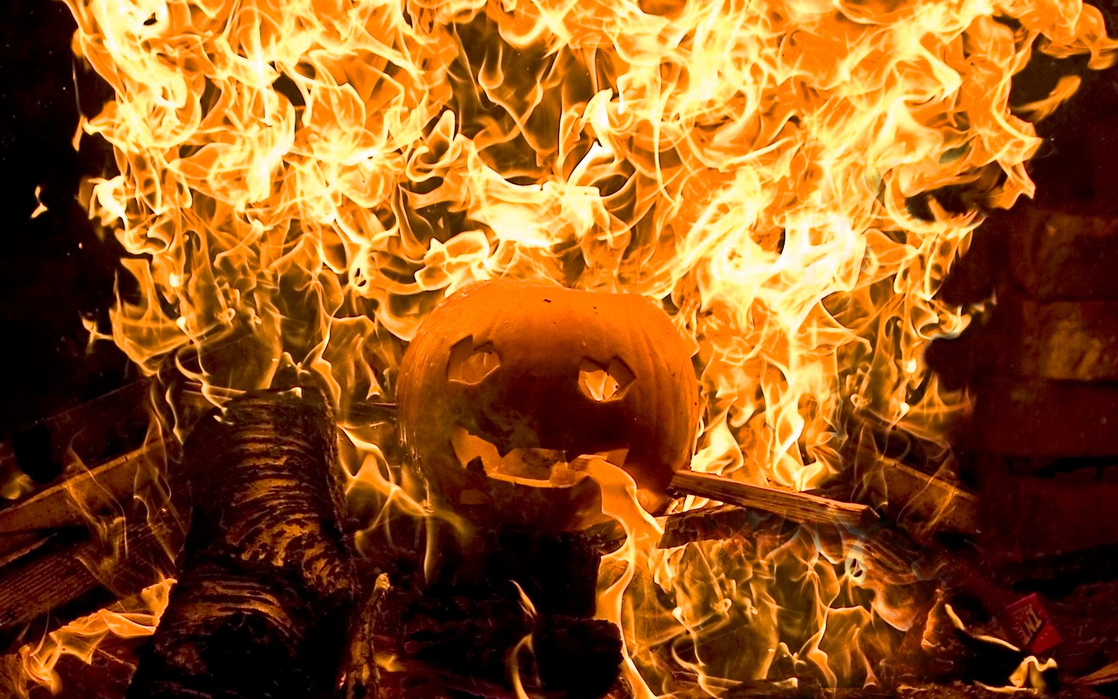 Las llamas arden alrededor de una calabaza en una fogata (llama, fuego, calor, microsoft windows, windows 10)