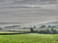 Paisagem montanhosa nevoenta ao amanhecer