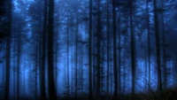 Bosque de coníferas de tono azul misterioso al anochecer