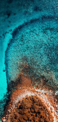 Vibrant Aqua Patterns Along a Rocky Shoreline