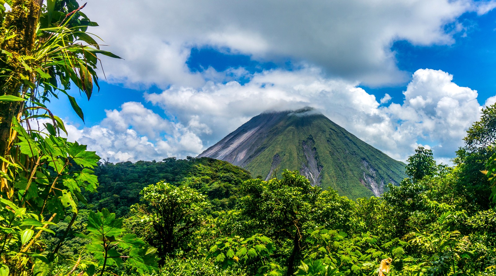 Vue d'un volcan au loin avec des arbres et des buissons (végétation, formes montagneuses, nature, montagne, jungle)