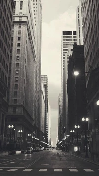 Monochrome Skyscrapers in a Metropolis