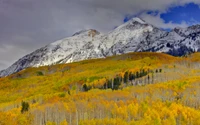 Vibrant autumn foliage contrasts with snow-capped mountains under a dramatic sky.